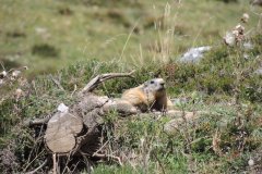 Wanderurlaub_MariaAlm_2025_00098