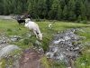 Wanderurlaub_Soelden_2022_4_11