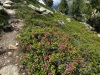 Wanderurlaub_Soelden_2022_4_23