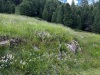 Wanderurlaub_Soelden_2022_4_43