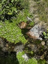 Wanderurlaub_Soelden_2022_5_18