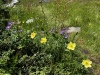 Wanderurlaub_Soelden_2022_5_28