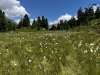Wanderurlaub_Soelden_2022_5_43
