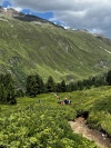 Wanderurlaub_Soelden_2022_5_45