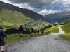 Wanderurlaub_Soelden_2022_5_58