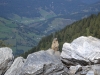 Wanderurlaub_St_Johann_2018_014