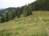 Wanderurlaub_St_Johann_2018_067