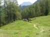 Wanderurlaub_St_Johann_2018_068