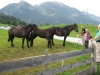 Wanderurlaub_St_Johann_2018_087