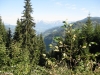 Wanderurlaub_St_Johann_2018_094