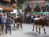 Wanderurlaub_St_Johann_2018_120