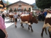 Wanderurlaub_St_Johann_2018_130