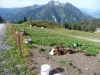 Wanderurlaub_St_Johann_2018_153