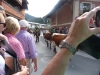 Wanderurlaub_St_Johann_2018_201