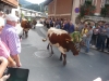 Wanderurlaub_St_Johann_2018_207