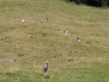 Wanderwoche_2015_3_20