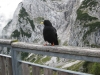 Wanderwoche_2015_6_07