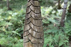 Wanderwoche_2023_Tag1_17