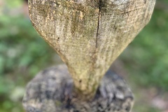 Wanderwoche_2023_Tag1_19