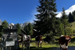 Wanderwoche_2023_Tag1_23