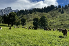 Wanderwoche_2023_Tag1_28