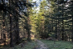 Wanderwoche_2023_Tag2_07