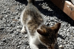 Wanderwoche_2023_Tag2_40