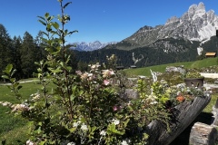 Wanderwoche_2023_Tag2_44