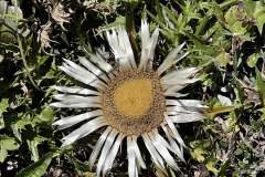 Wanderwoche_2023_Tag2_60