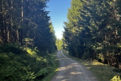 Wanderwoche_2023_Tag3_21