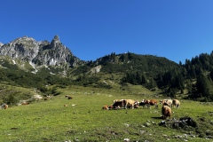 Wanderwoche_2023_Tag4_14
