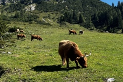 Wanderwoche_2023_Tag4_15