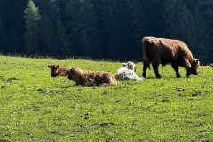 Wanderwoche_2023_Tag4_16