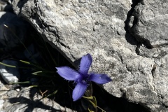 Wanderwoche_2023_Tag4_29