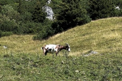 Wanderwoche_2023_Tag4_39
