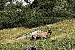 Wanderwoche_2023_Tag4_40