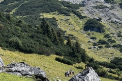 Wanderwoche_2023_Tag4_44