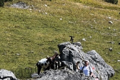 Wanderwoche_2023_Tag4_46