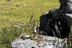 Wanderwoche_2023_Tag4_48