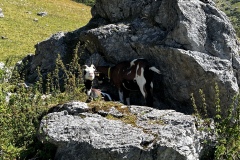 Wanderwoche_2023_Tag4_49