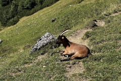 Wanderwoche_2023_Tag4_51
