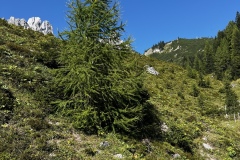 Wanderwoche_2023_Tag4_60