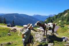 Wanderwoche_2023_Tag4_64