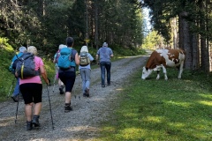 Wanderwoche_2023_Tag5_19