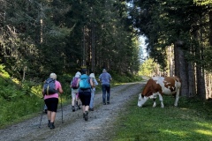 Wanderwoche_2023_Tag5_20