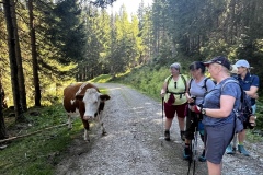 Wanderwoche_2023_Tag5_21