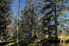 Wanderwoche_2023_Tag6_09
