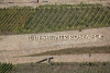 Weinprobe_20211016_040