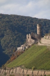 Weinprobe_20211016_041
