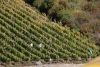 Weinprobe_20211016_045